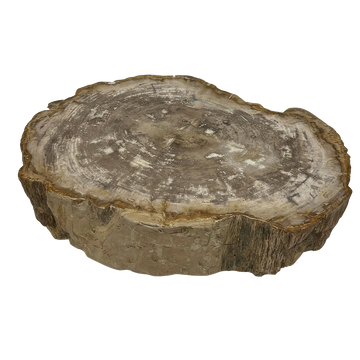 Rohling Stomp® - Stein<br>(2026_002)