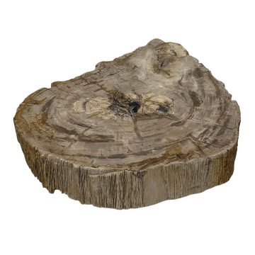 Rohling Stomp® - Stein<br>(2026_004)