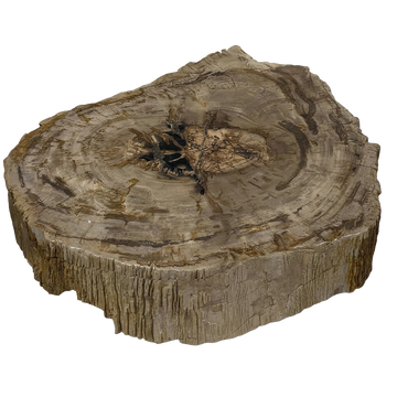 Rohling Stomp® - Stein<br>(2026_005)