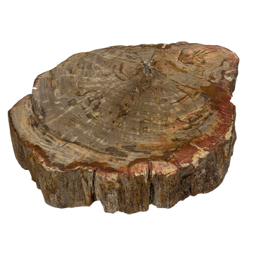 Rohling Stomp® - Stein<br>(2026_008)