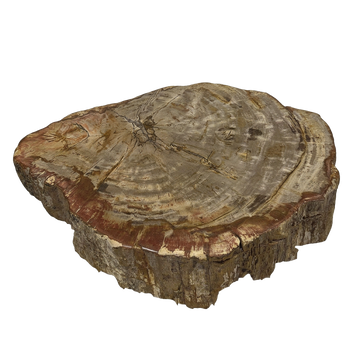 Rohling Stomp® - Stein<br>(2026_011)