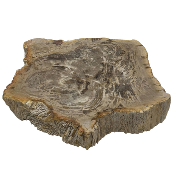 Rohling Stomp® - Stein<br>(2026_012)