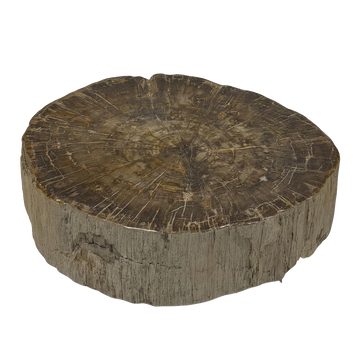 Rohling Stomp® - Stein<br>(2026_013)