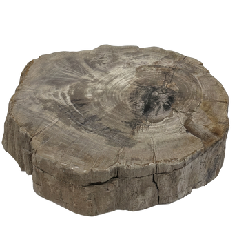Rohling Stomp® - Stein<br>(2026_014)