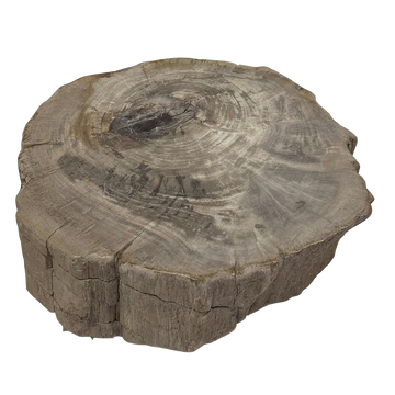 Rohling Stomp® - Stein<br>(2026_018)