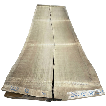 Rohling Monolith® - Breite 100 cm<br>(2022_12_300_122_100_95)