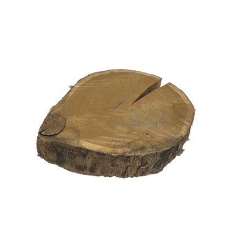 Rohling Stomp® - 30-40 cm<br>(2023_22_30-40)