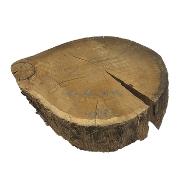 Rohling Stomp® - 30-40 cm<br>(2023_28_30-40)
