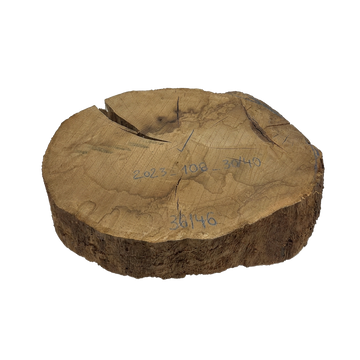 Rohling Stomp® - 30-40 cm<br>(2023_108_30-40)